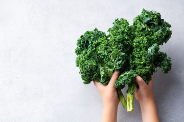 Kale salad leaf in kids hands. Grey background. Copy space.