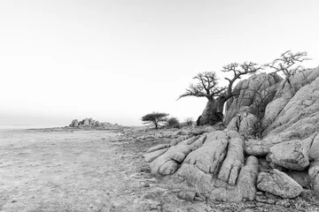 Foto op Canvas Rocks and baobab tree on Kubu Island in black-and-white © hannesthirion
