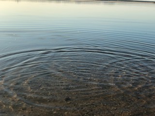 circles on the water on the lake in the sunset
