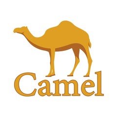 Camel illustration animal design. Vector design.