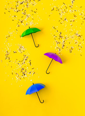 Different kinds of rice grains pouring on three toy umbrellas on vibrant yellow background. Artistic concept of spring rain