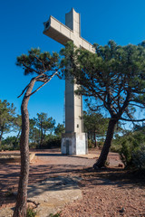 The desert of the palms in Benicassim, Costa Azahar