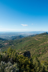 Fototapeta premium The desert of the palms in Benicassim, Costa Azahar
