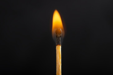 Burning match against a black background. Close-up shot