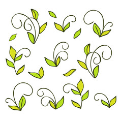 Collection cartoon twigs. Floral elements for wedding design, birthday, womens holiday, Valentines day. Vector hand drawn doodle illustration. Pattern for design book, wrapping organic cosmetic