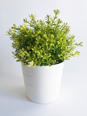 Front view of artificial green plant in white pot isolated on white background. Artificial Green Plants in Flower Pots for Home and Office Decoration without The Care.