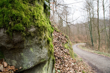 Felsen Wanderweg Im Wald