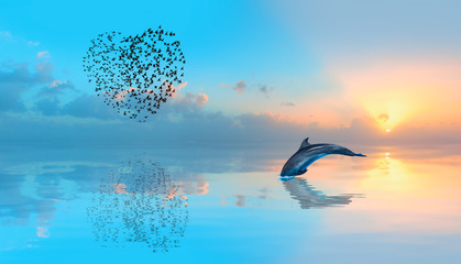 Birds silhouettes flying above the lake (in shape of heart) - Dolphin jumping on the water at amazing sunset 