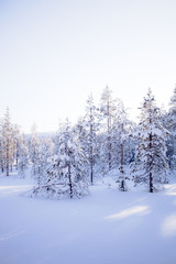 Winter in Lapland Finland - 327883632