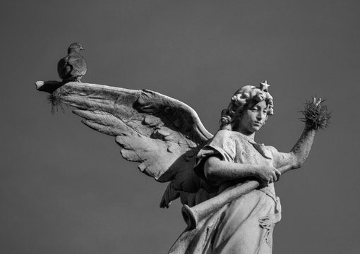 angel. 