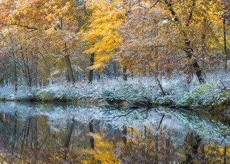 Sunrise on a secluded pond, where first light finds a dusting of snow on the autumn colors.