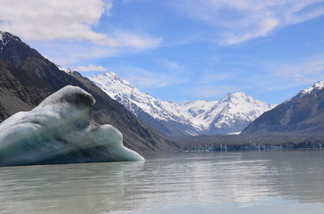 Tasman Gletscher Neuseeland Südinsel