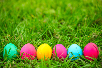 Fototapeta na wymiar Row of Easter eggs in fresh green grass. Egg hunt. Spring time.