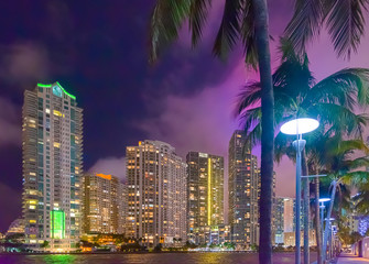 Fototapeta na wymiar Skyscrapers and palm trees in Riverwalk Miami at night