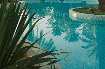 Reflection of palm trees in the water of the pool