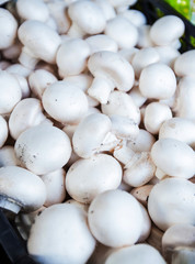 Fresh champignons in basket at food farmers market