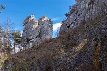 Głęboka Cave (Maszycka Cave) - a cave in the Będkowska Valley in the Olkusz Upland