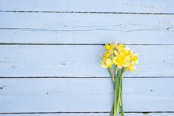 Flower. Daffodil. Spring flowers. Narcissus on blue wooden background. Bouquet of Daffodils. Vintage background with Narcissus. Copy space