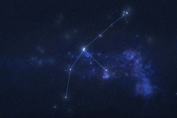 Grus Constellation in outer space. Crane constellation stars with constellation lines Elements of...