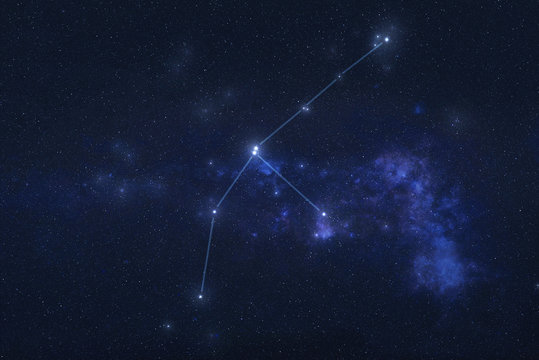Grus Constellation in outer space. Crane constellation stars with constellation lines Elements of this image were furnished by NASA © ALEXANDR YURTCHENKO