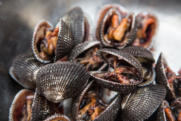 Fresh black shells at a local market