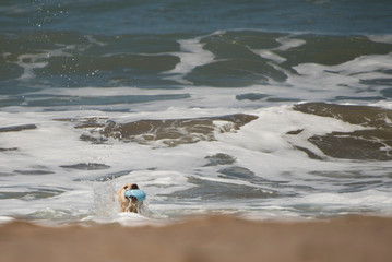 happy dog ​​playing on the beach