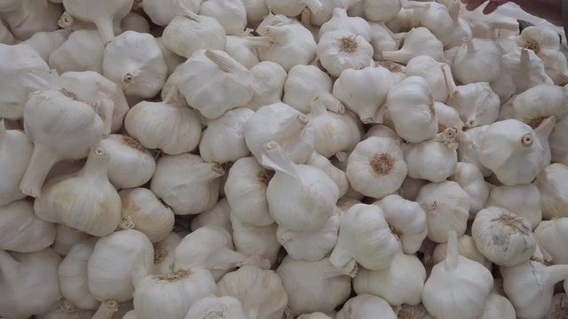 Real time of person of african ethnicity selecting garlic bulbs, allium, sativum, from a market stall