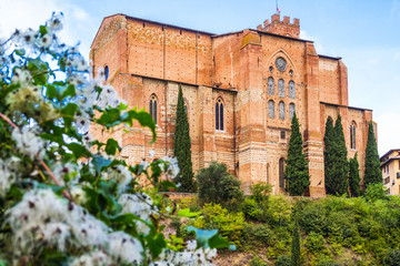 Obraz premium Medieval basilica di San Domenico, Siena, Tuscany, Italy. Red stone, green trees, blue sky with white clouds. Pictorial tuscan cityscape.