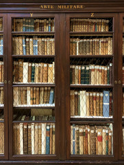 Obraz premium Books on a old wooden shelfs.