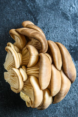 oyster mushrooms, fresh and ripe, keto or paleo diet menu concept background. top view. copy spaces