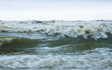 Sea waves of the Black Sea