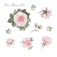 Watercolor sketch of delicate roses painted on paper with paints