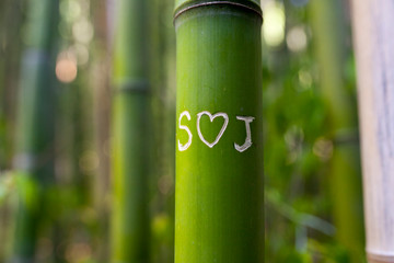 Fototapeta premium Love messages at Bamboo forest trunk