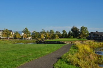Fototapeta na wymiar Island Green on Homestead Golf Course with Cart Path in Washington