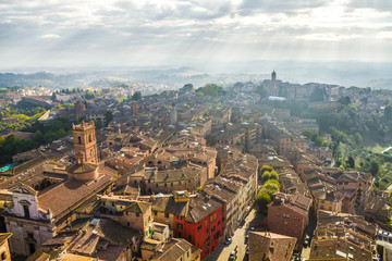 Panoramic view of Siena from The Torre del Mangia. Medieval houses are located on the hillsides, tuscan hills on the horizon, church of San Martino. Pictorial cityscape. Tuscany, Italy.