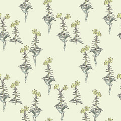 Primrose Flowers Seamless Pattern. Hand Drawn Floral Illustration.