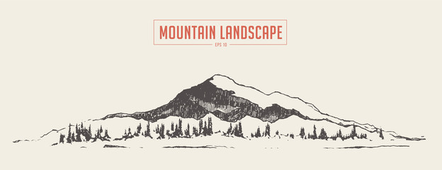 Mountain landscape spruce fir forest vector sketch © TheMountBirdStudio