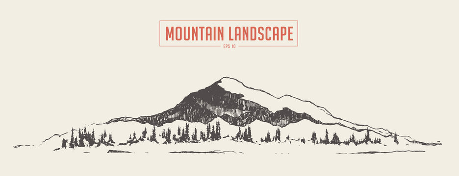Mountain landscape spruce fir forest vector sketch