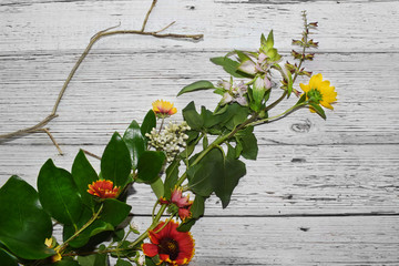 Florida Wild Flowers