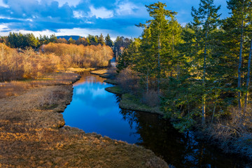 Wetland Slough on Lummi island, Washington. A wetland is a place where the land is covered by...