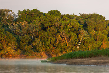 Surnise on the Cuiaba River in the Pantanal region of Brazil.