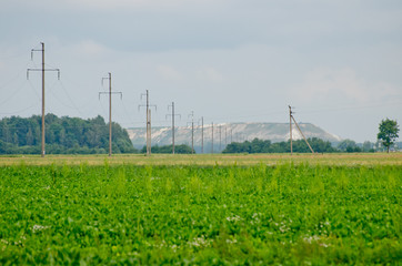 Beautiful green nature landscape of Europe