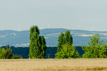 Beautiful green nature landscape of Europe