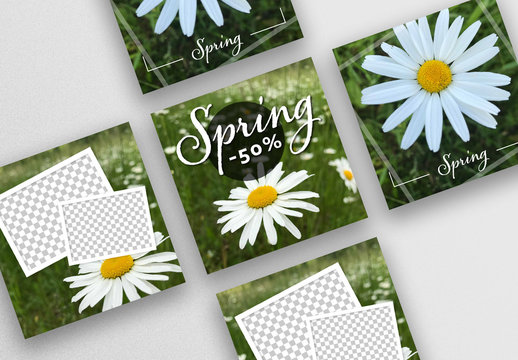 Social Media Post Layout Set with White Daisy Flowers