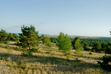 Beautiful green nature landscape of Europe