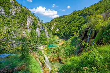 Beautiful green nature landscape of Europe