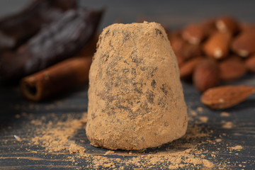 Healthy raw vegan sweet candy with carob, cinnamon and almond