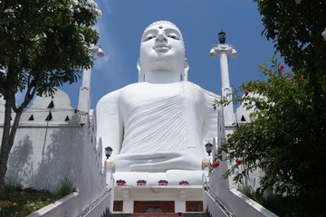 The Bahirawakanda White Buddha Statue is located alongside the Sri Maha Bodhi Temple which is on...