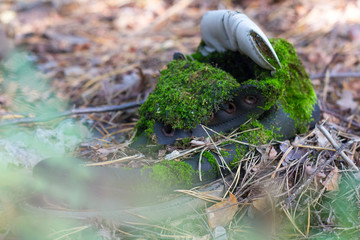 Boot in the grass