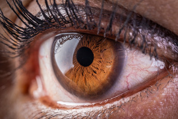 The eye of a latin woman closeup macro
